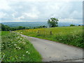 SO2549 : Farm road to Cefn by Jonathan Billinger
