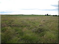 Moorland View on Waupley Moor