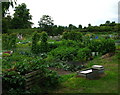 Leomansley Allotments