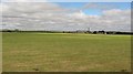 ND3553 : Grassland, Ackergill Mains by Richard Webb