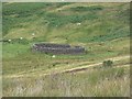 Sheepfold at Hudspeth