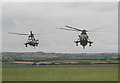 Sea King helicopters at RNAS Culdrose