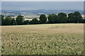 Wheatfield, Balbrogie, near Coupar Angus