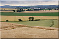 View over Strathmore from Isla Park, near Coupar Angus