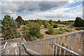 Derelict part of St Leonards Hospital (2)