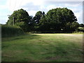 Field and copse of trees near Redfern Manor