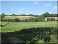 Uncultivated field below Bigadon Home Farm