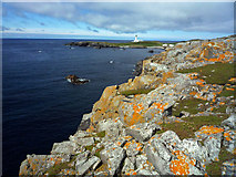 HZ2069 : Cliff edge of Meo Ness by Julian Paren