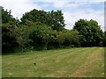 Cemetery, Biddestone