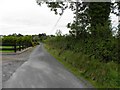 H5736 : Road at Drumloo by Kenneth  Allen