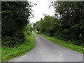 H5933 : Road at Graffagh by Kenneth  Allen