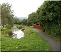 Canal fishing, Cwmbran