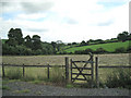 Mown field by Rattery Village Hall