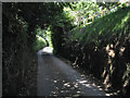 Sunken lane north out of Rattery