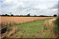 SK7660 : Nottinghamshire Countryside  by roger geach