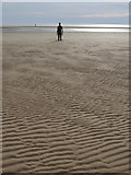 SJ3097 : Another Place, Crosby Beach by Chris Whippet
