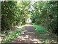 Charnwood Forest Railway