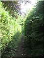 Footpath between Leazes Lane and Beech Hill (2)