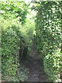 Footpath between Leazes Lane and Beech Hill (5)