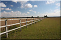 Paddock fencing at Belchamp Otten