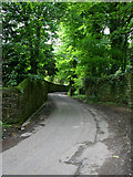 SK3160 : Looking up Lumsdale by Kate Jewell