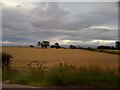 Field near Kirkbean