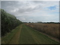 Footpath to Puddock Farm