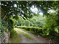 Bridleway leaving the B6057