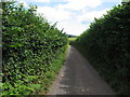 Taff Trail / country lane near Pencelli