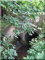 Cockshaw Burn culvert, Whetstone Green