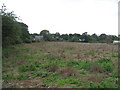 Farmland in Hollowmoor Heath