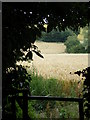 View Over Kissing Gate - Near Ingham Church