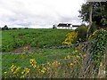 Ballymagorry Townland