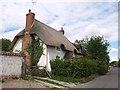 Cottage in Newton Tony