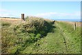 Coastal Path