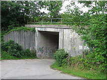 ST0799 : A470 underpass on Taff Trail by Gareth James
