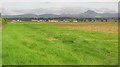 Grassland off Rossburn Lane