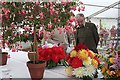 Turriff Show 2010 (34)