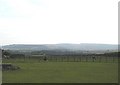 Grazing land, East Wold Farm