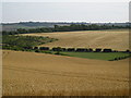 Farmland off Beverley Road (B1248)