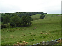 SE8163 : Farmland looking towards Swinham Wood by JThomas