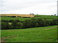 Farmland west of Acklam