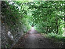 ST0897 : Taff Trail / Trevithick Trail near Pont y Gwaith by Gareth James