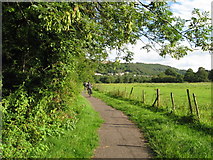 ST0892 : Taff Trail near Cilfynydd by Gareth James