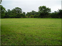 SE7966 : Farmland near Langton by JThomas