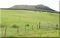 Grazing land on the northern slopes of Garn Fadryn