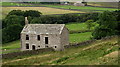 Deserted House Above Shittlehope Burn