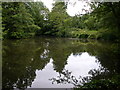 Ryton-Fishing Pools