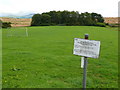 Braehead Football Pitch