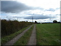 Track  to  Carr  House  Farm